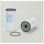 Iveco Filtru Combustibil P955607 pentru IVECO 504142827 (504142827)
