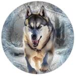 Wooden City HE0502-XL - Száguldó farkas - 505 db-os fa puzzle (HE0502-XL)