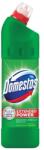 Domestos 750. Ml Extended Power Original