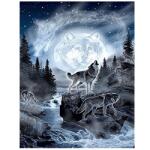  Kreatív festés számok szerint - tigris (DS58116313)