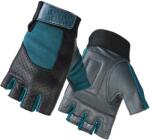Fitforce Blite (blite-u3a)
