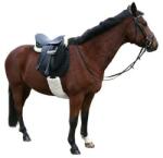 Kerbl Covalliero műszőrme hevedervédő - fekete