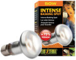 Exo Terra Bec Exo Terra Intense Basking Spot 50W