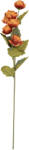 Clayre & Eef Flori artificiale portocalii verzi 10x10x63 cm (6PL0409O)