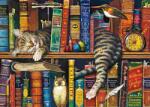 Schmidt Spiele - Puzzle Frederick the literate - 1 000 piese