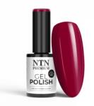 Allepaznokcie Oja Semipermanenta NTN Premium Celebration Collection Nr. 171