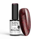 Allepaznokcie Oja Semipermanenta NTN Premium After Midnight Collection Nr. 68