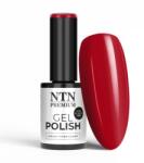 Allepaznokcie Oja Semipermanenta NTN Premium Celebration Collection Nr. 168