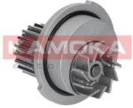 KAMOKA Pompă de apă, răcire motor KAMOKA T0066 (T0066)