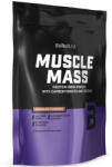 BioTechUSA Muscle Mass 1000g csokoládé - 1000g