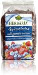Herbária erdei gyümölcs ízesítésű gyümölcstea - 120g - biobolt