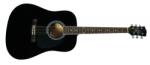 PULSE Guitars Pulse HW41-BK - Chitara Acustica (HW41-101BK)
