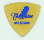 Takamine P5-M - Pana Chitara (P5-M)