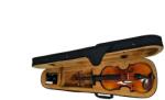Longocampo Violins - Vioara cu toc 1/4 (1/4V)