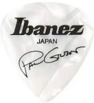 Ibanez 1000PGPW Paul Gilbert - Pana Chitara (1000PGPW)