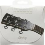 Ibanez IACS6 Light - Set Corzi Chitara Acustica 12-53 (IACS6C)