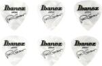 Ibanez B1000PGPW Paul Gilbert - Set Pene Chitara (B1000PGPW)