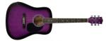PULSE Guitars Pulse HW41-PPS - Chitara Acustica (HW41-101PPS)