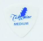 Takamine P3W-M - Pana Chitara (P3W-M)