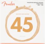 Fender AuriSonic 8060R