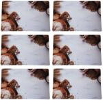 Pufo Tányéralátét szett tálaláshoz, Pufo, péksütemény mintás modell, 6 db (Pufo2950)