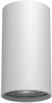 Amplex Brosline 1253 - Spot POINT 1xGU10/10W/230V, alb (AML0168)