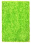Bakero Szőnyeg Shaggy Spaghetti 05 green (170x240 cm) (bacn0003013)