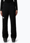 The North Face Női sínadrág The North Face Lenado Short black
