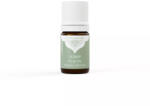 Panarom Jázmin olaj 10% (Jasminum officinalis) - 5 ml - zoldbolt