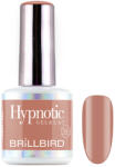 BrillBird TPO FREE Hypnotic HEMA Free Gel&Lac 4ml 266