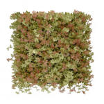 Mirpol Jiaogulan műanyag zöldfal 50x50 cm (5905610253486) - leziteronline