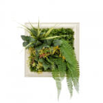 Mirpol Idyll műanyag zöldfal 30x30 cm (5905610253516) - leziteronline