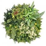 Mirpol Harmonia I. műanyag zöldfal 50x50 cm (5905610253547) - leziteronline