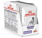 Royal Canin VHN Dog Mature Consult Nedvestáp idősebb, 8 év feletti kutyáknak 48x85g