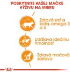 Royal Canin Hair & Skin Care Jelly tasakos eledel macskáknak zselében 36 x 85 g