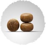 Josera Youngstar 12, 5 kg - SÉRÜLT CSOMAGOLÁS