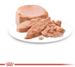 Royal Canin Starter Mousse 6 x 195 g