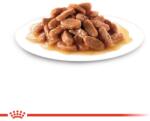 Royal Canin Kitten Sterilizált ivartalanított cicáknak 36 x 85 g