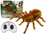 LeanToys Távirányítós Pók Tarantula Infravörös Barna R/C
