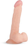 Real Fantasy Felix - dildo realist cu testicule - 22cm - culoare natur (8719497667055) Dildo