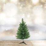 Family Collection Műfenyő - 60 cm - Nordmann - PVC - sötétzöld, 56486A