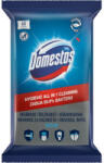  Unilever Zrt Vegyi Domestos higienikus törlőkendő 60db Óceán - vegyesbolt