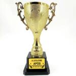 Nevesajándék A Legjobb APÓS - Serleg, Kupa, Trófea - Ajándék Apósnak (SER032)