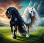 NORIMPEX - Puzzle Tablou Diamant: Alb și negru 30x40cm - 1 - 39 piese