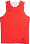 PUMA Hoops Team Reverse Practice Jersey (67664003)