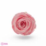 Kiara Stabilizált Rózsa Menyasszony Rózsaszín Fej, Kiara, L