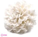 Ancient Wisdom Kicsi Fehér Krizamtém Szappanvirág Fejek