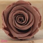 Verdissimo Tartósított Rózsa Fej Mocha Cocoa, Verdissimo, L