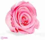 Kiara Stabilizált Rózsa Baba Rózsaszín Fej, Kiara, L