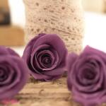 Verdissimo Tartósított Rózsa Fej Lila, Verdissimo, M